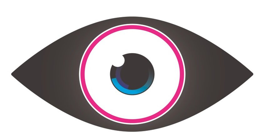 big_brother.jpg
