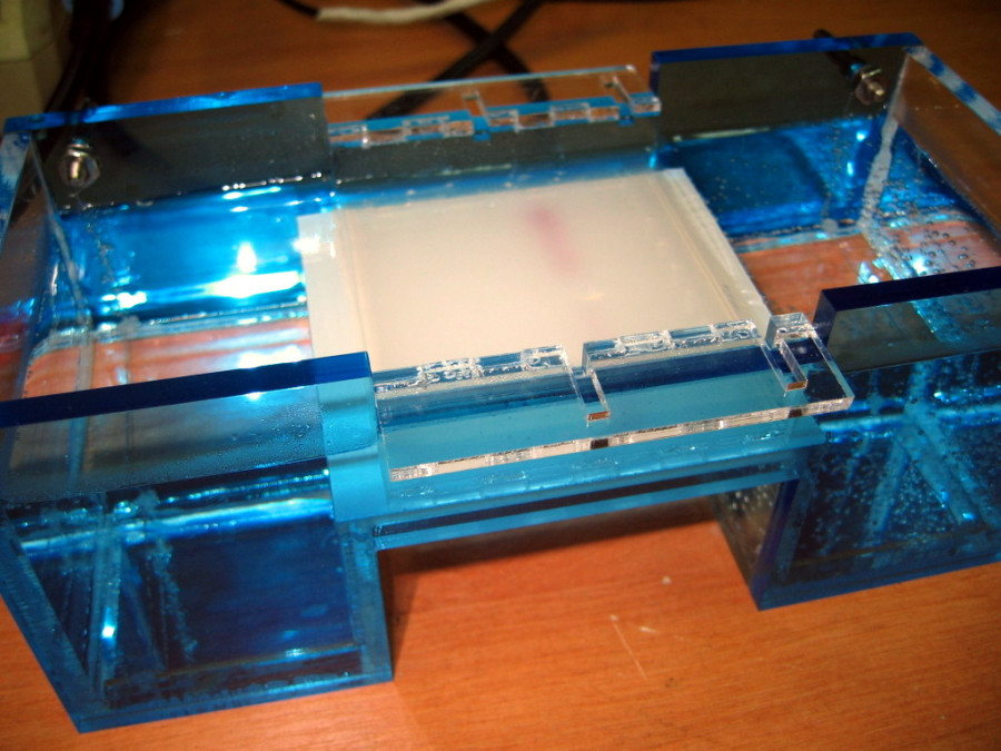 The first test electrophoresis run, no nucleic acid, just diy cresol red loading...
