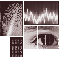 project:biometry.gif