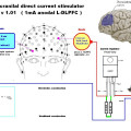 tdcs.jpg