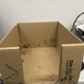 brothel_in_box.jpeg