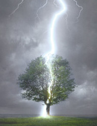 lightning-striking-tree.jpg