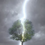 lightning-striking-tree.jpg