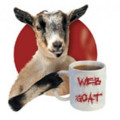 webgoat_logo-294x300.jpg